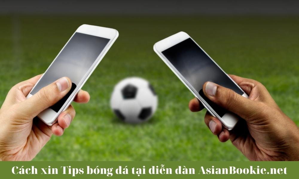 Cách xin Tips bóng đá tại diễn đàn AsianBookie.net